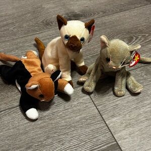 Beanie Baby Cats